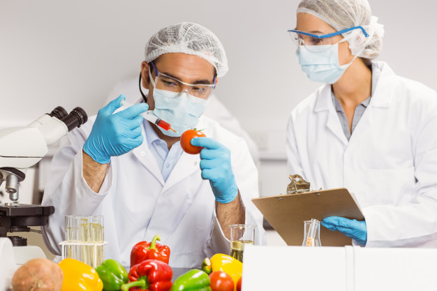 cientifico-alimentos-inyectando-tomate_13339-87180 cientifico-alimentos-inyectando-tomate_13339-87180